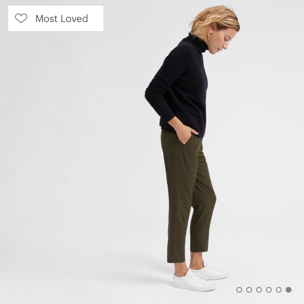 Everlane Italian goweave easy pants